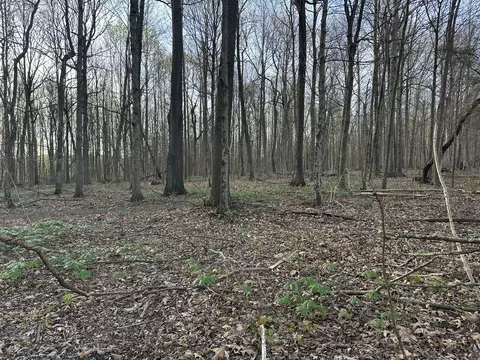 163 White Rd, Portland, TN 37148