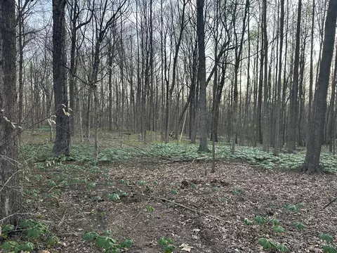 2173 Highway 259, Portland, TN 37148