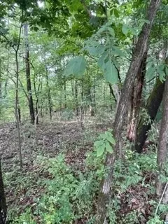 0 Garton Rd, Dickson, TN 37055 photo 8