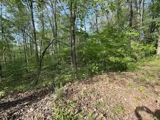 0 Garton Rd, Dickson, TN 37055 photo 5