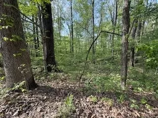 0 Garton Rd, Dickson, TN 37055 photo 6