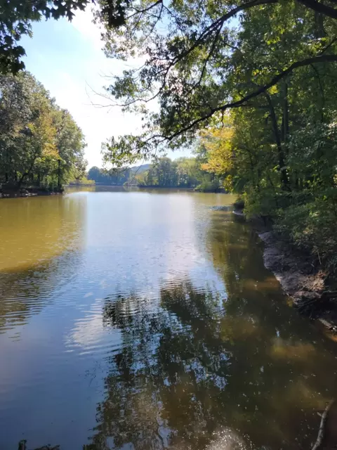 0 Shirley Bates Rd, Clifton, TN 38425