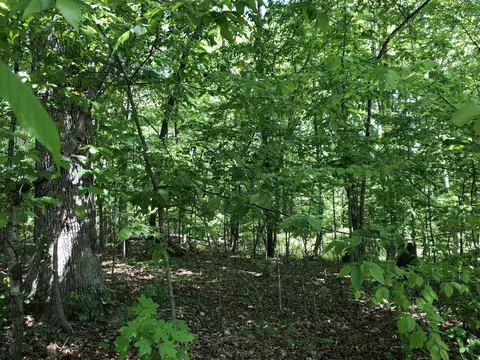 0 Devin Dr, Lawrenceburg, TN 38464