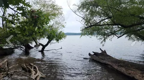 2355 Richland Harbor Rd, Waverly, TN 37185