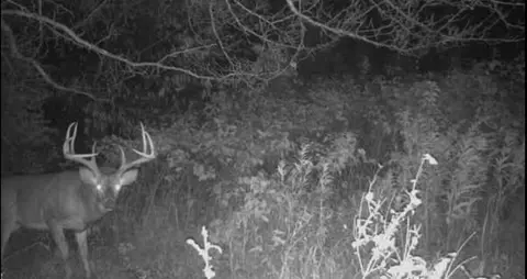 Other - 5931 Buffalo Valley Rd, Baxter, TN 38544 photo 15 of 18