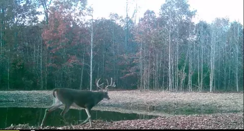 Other - 5931 Buffalo Valley Rd, Baxter, TN 38544 photo 14 of 18