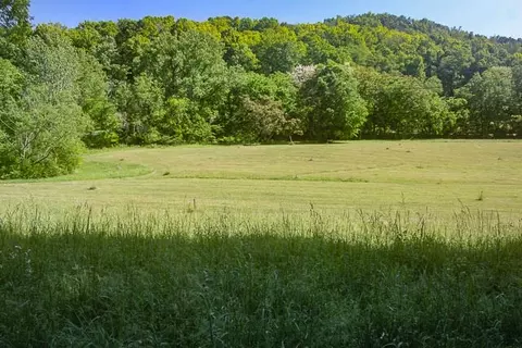 0 Harpeth Peytonsville Rd, Thompsons Station, TN 37179