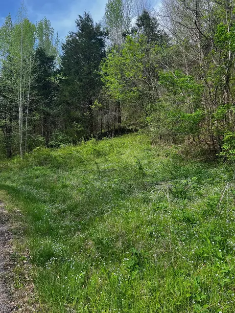 0 Weber Ln, Celina, TN 38551