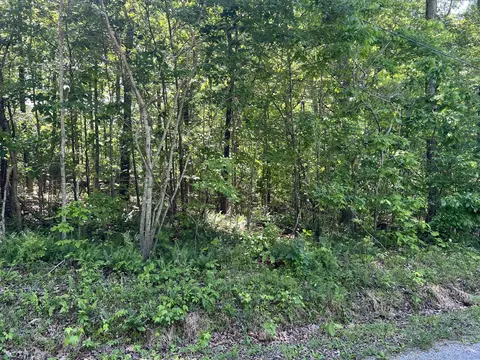 114 Swan Bay Estates Rd, Buchanan, TN 38222