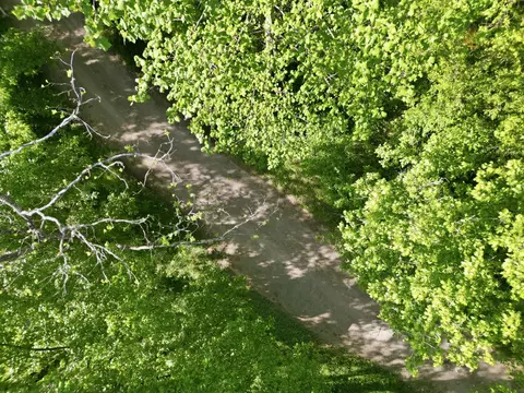 364 Lock Ln, Tazewell, TN 37879