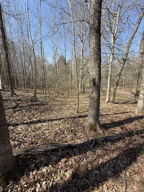 0 Brigham Branch Rd, Erin, TN 37061