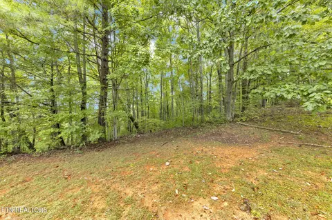 399 Cooper Rd, Vonore, TN 37885 photo 6