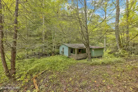 399 Cooper Rd, Vonore, TN 37885 photo 4