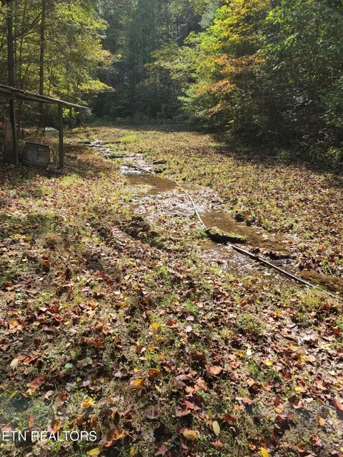 399 Cooper Rd, Vonore, TN 37885 photo 15
