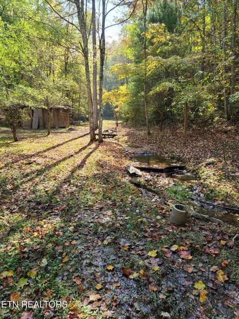 399 Cooper Rd, Vonore, TN 37885 photo 14