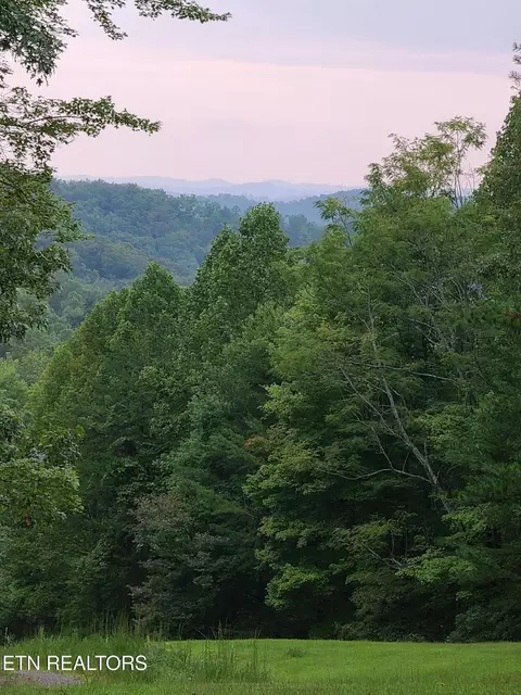 399 Cooper Rd, Vonore, TN 37885 photo 20