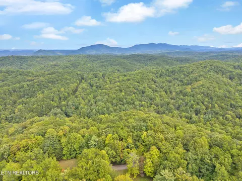 399 Cooper Rd, Vonore, TN 37885 photo 26