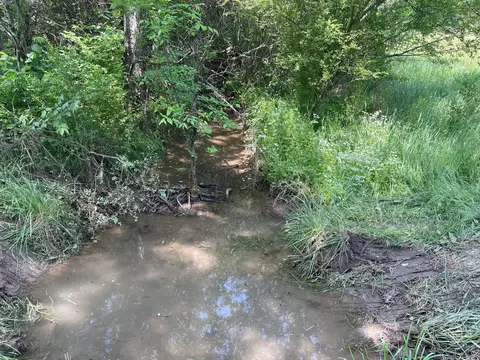 0 Maynard Ln, Columbia, TN 38401