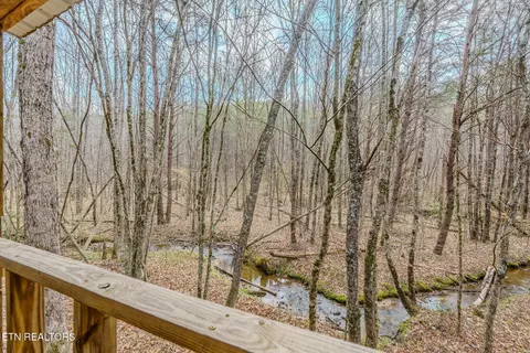 1259 Steve Brown Rd, Bean Station, TN 37708 photo 3
