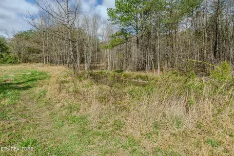 1259 Steve Brown Rd, Bean Station, TN 37708 photo 2
