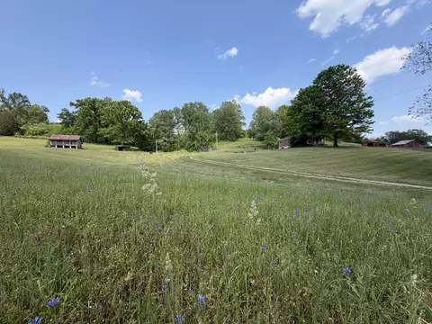 5170 Steam Mill Hollow Road Tract 2, Williamsport, TN 38487