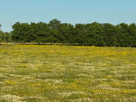 0 Dry Creek Rd, Mount Pleasant, TN 38474