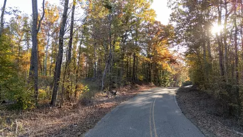 1 Gooch Store Rd, Hornsby, TN 38044