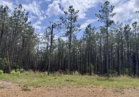 132 Rocky Top Dr, Hohenwald, TN 38462