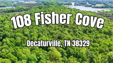108 Fisher Cv, Decaturville, TN 38329