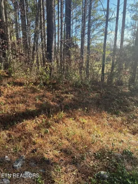 0 Tommy Loop Rd, Sweetwater, TN 37874