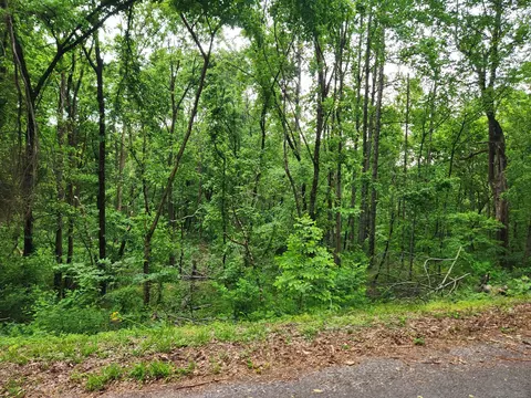 0 Thompson Hill Rd, Bethpage, TN 37022 photo 3