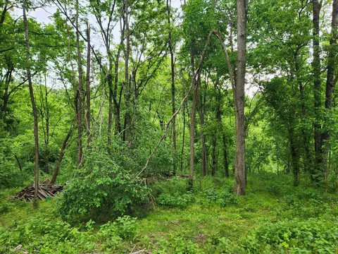 0 Thompson Hill Rd, Bethpage, TN 37022 photo 2