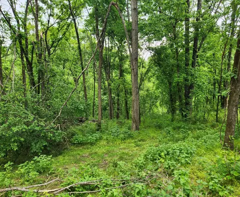 0 Thompson Hill Rd, Bethpage, TN 37022