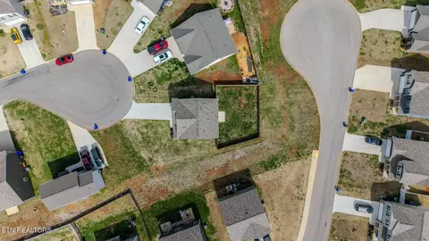 1253 Cole Dr, Talbott, TN 37877 photo 28