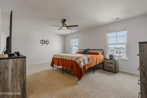 1253 Cole Dr, Talbott, TN 37877 photo 11