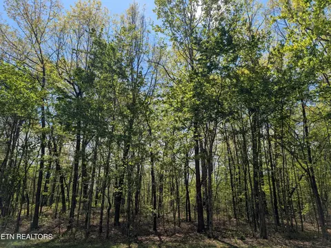 0 Cumberland Lakes Dr, Monterey, TN 38574