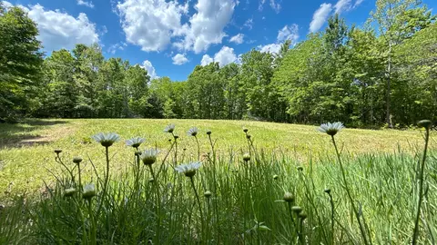 1 Hwy 100, Centerville, TN 37033