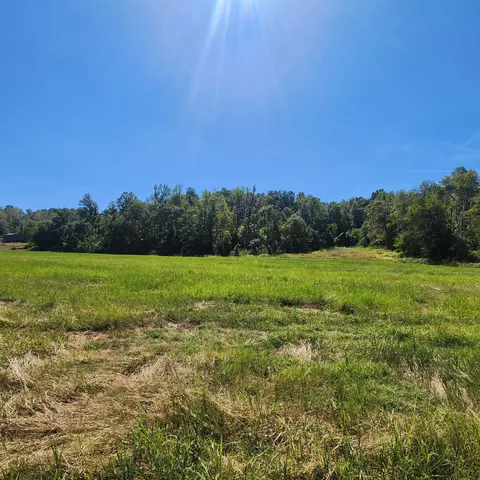 229 Bob Walker Rd, Bumpus Mills, TN 37028