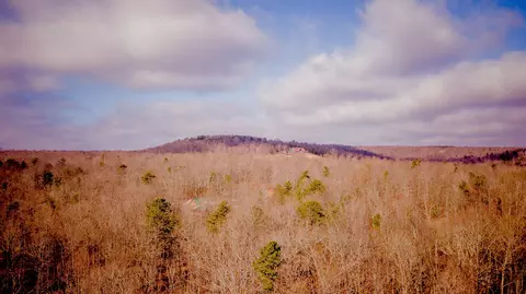 309 Tree House Trl, Dunlap, TN 37327