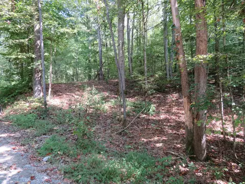 0 Bugg Hollow Rd, Gallatin, TN 37066