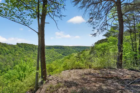 2076 Timberwood Trace Lots 317318, Monteagle, TN 37356