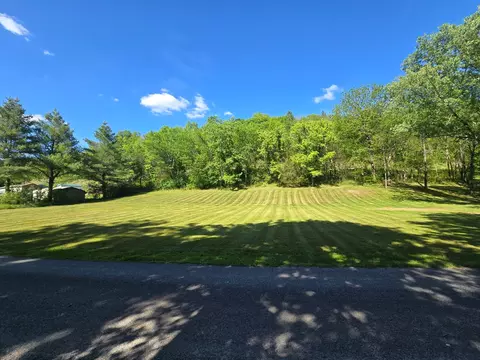 0 Dog Branch Rd S, Pleasant Shade, TN 37145