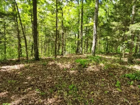 0 Froest Trl, Celina, TN 38551