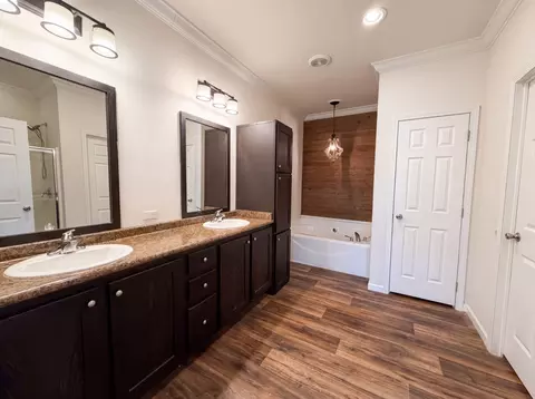 Bath - 2217 Caleb Dr, Spring Hill, TN 37174 photo 1 of 3