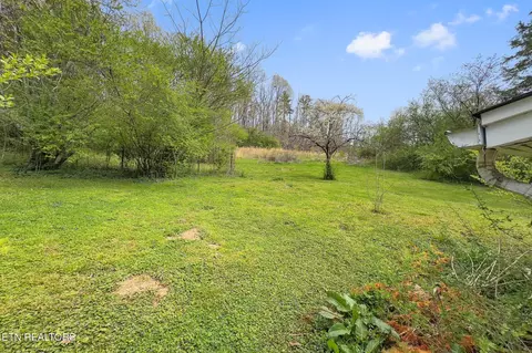 1447 Webster Rd, Harriman, TN 37748