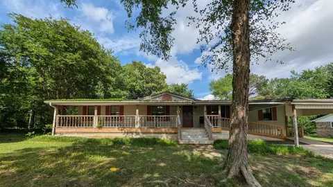 6106 Chestnut Bluff Maury C Rd, Friendship, TN 38034