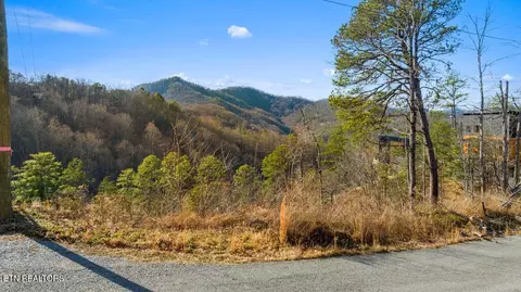 0 Sugar Maple Loop Lot Apt 1 Rd, Sevierville, TN 37862
