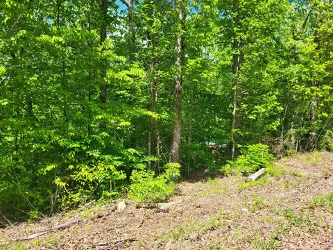 0 Red Ash Rd # A, Sugar Tree, TN 38380