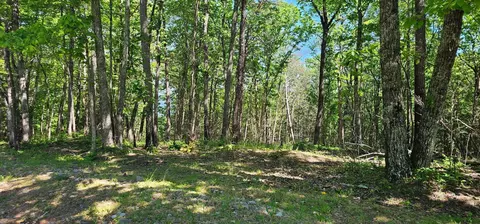 0 Bluffview Dr, Dunlap, TN 37327