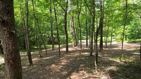 0 Cypress Dr, Spring City, TN 37381